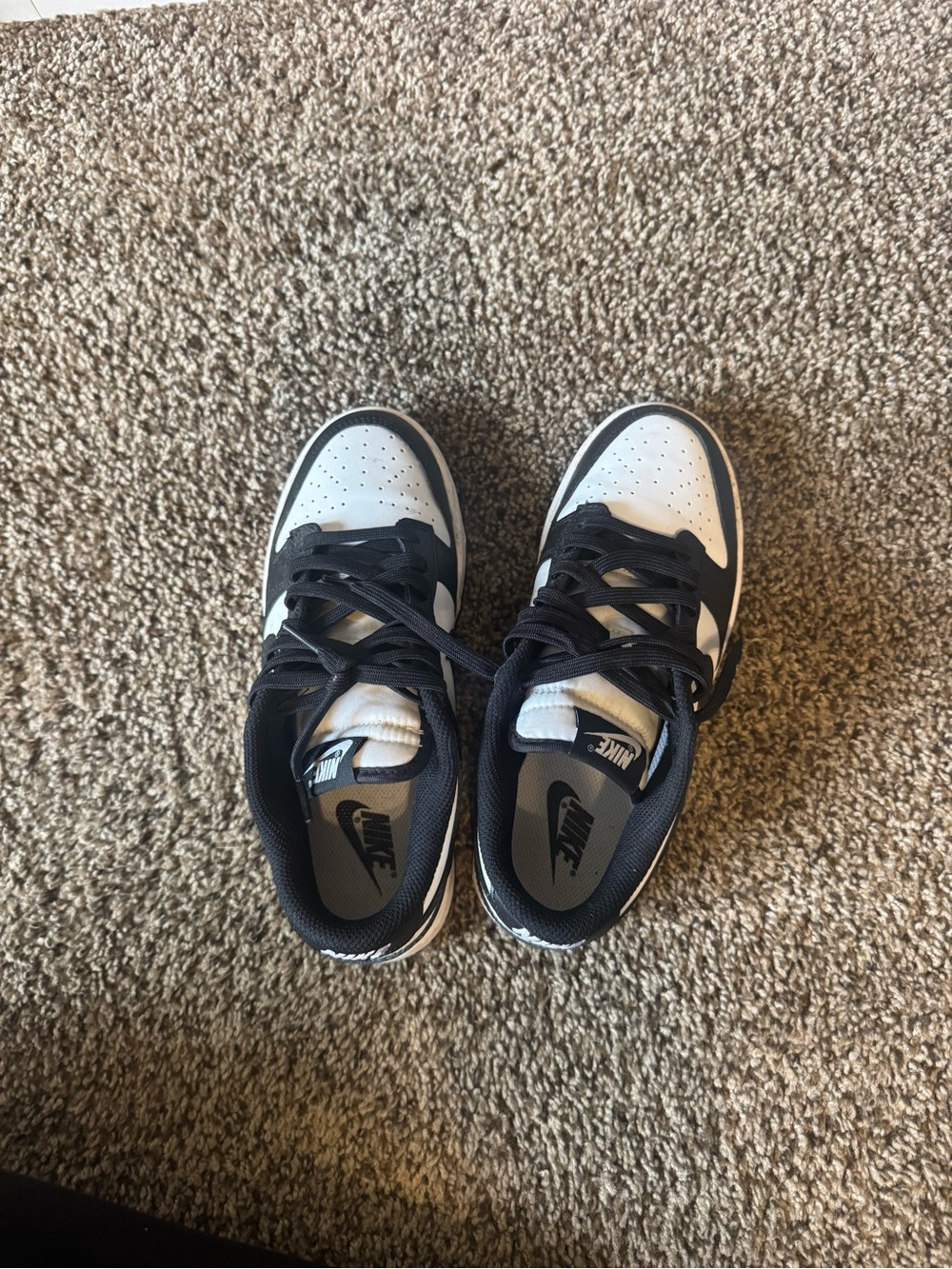 Panda Dunks - Picture 3 of 3